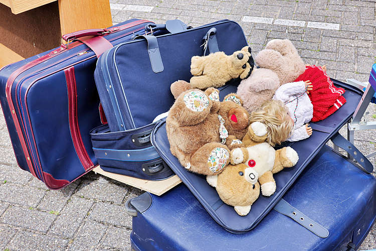 Rommelmarkt 2022 Waarder_174